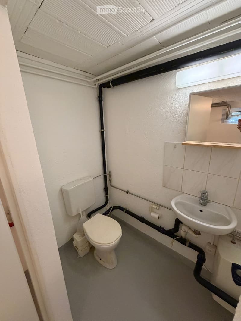 Small bathroom with toilet, sink, and mirror