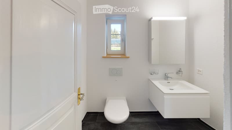 white walls, black tiles, white toilet, white sink, mirror, window