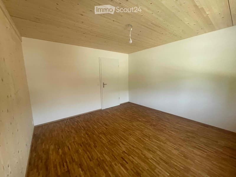 wooden floors, white walls, wooden ceiling, white door, ceiling light