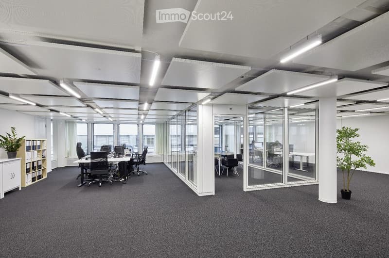 Open plan office with glass walls, white walls, grey carpeting, white ceiling with lights, white office furniture, plants.