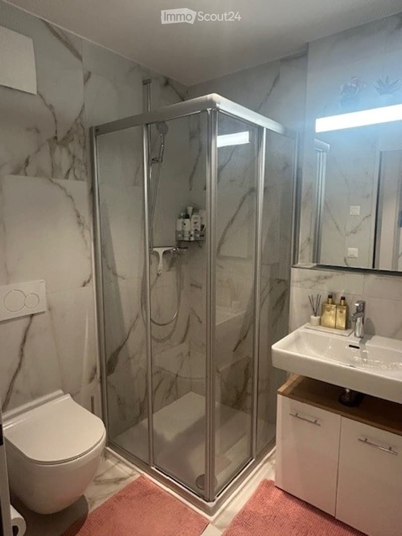 Modern bathroom with marble walls, glass shower enclosure, white toilet, white sink, and vanity cabinet. Two pink rugs on the floor.