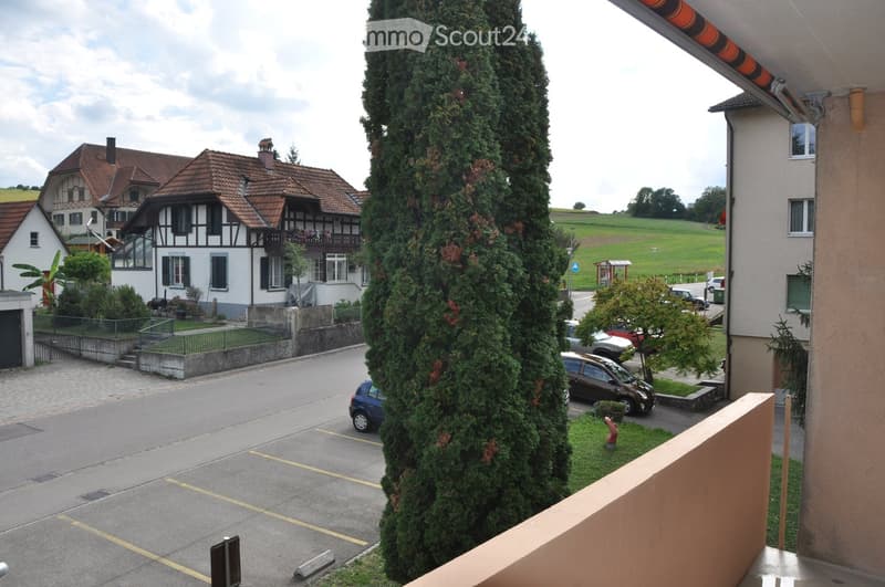 Building. View of a residential area with traditional houses, a parking lot, and a tall conifer tree in the foreground.