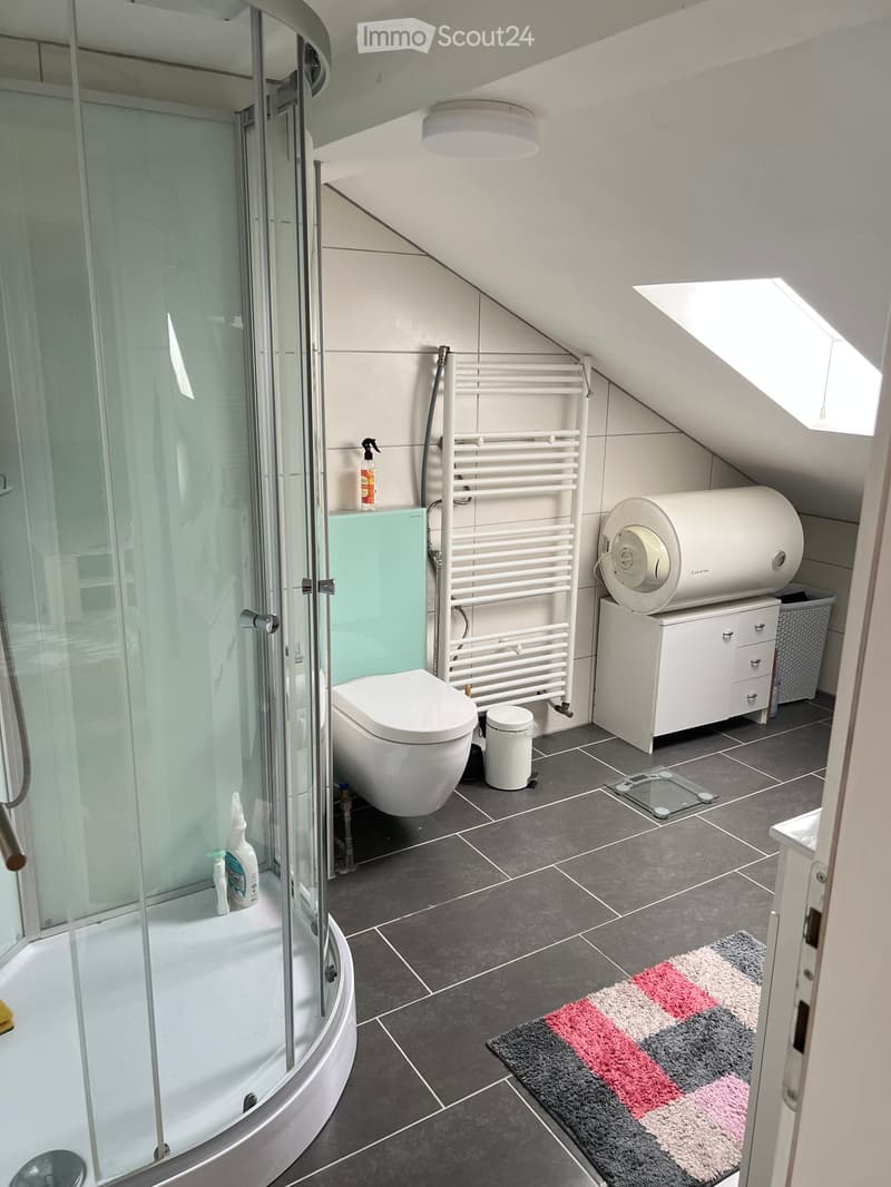 Bathroom. Modern bathroom with a glass-enclosed shower, toilet, radiator, water heater, and cleaning supplies. Features a colorful rug on the floor and a small trash bin.