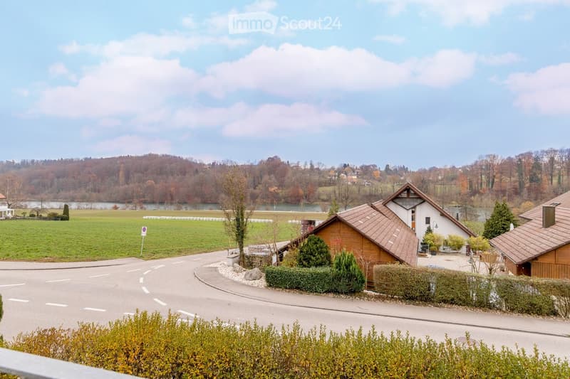 Houses with brown roofs, road, green field, lake, trees, bushes, bushes