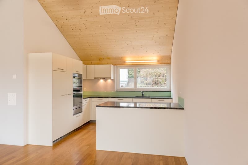 modern kitchen, white cabinets, wooden floor, green countertop, stainless steel appliances, window