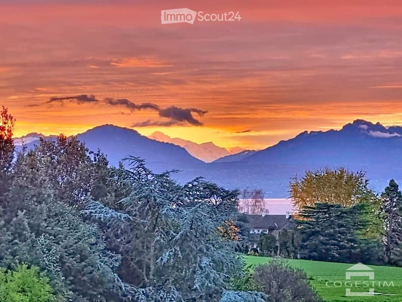 Bello appartamento luminoso di 4,5 locali con vista sul Lago di Ginevra e le Alpi (9)