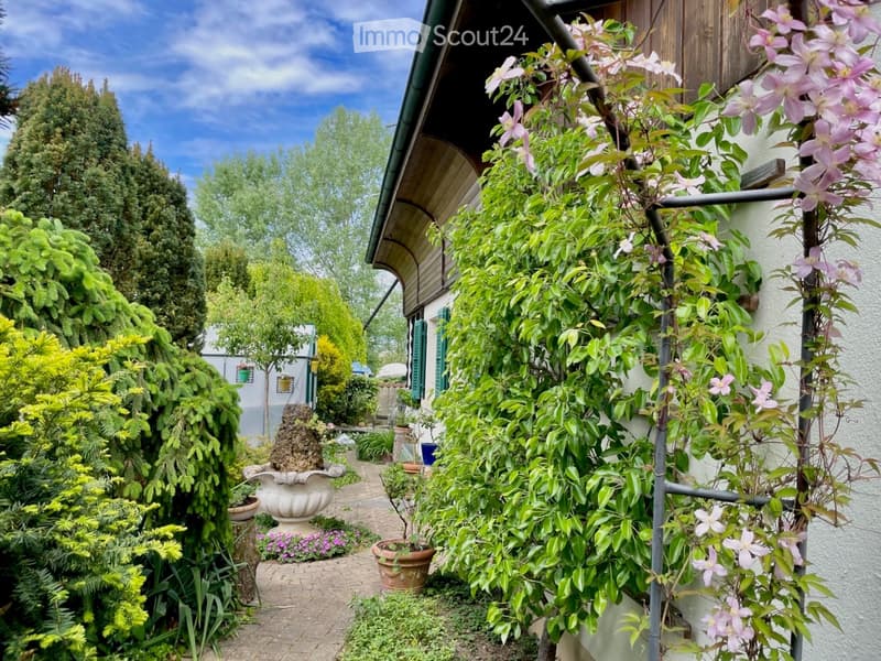 Appartamento giardino 3,5 locali al piano terra direttamente sul lago di Morat (18)
