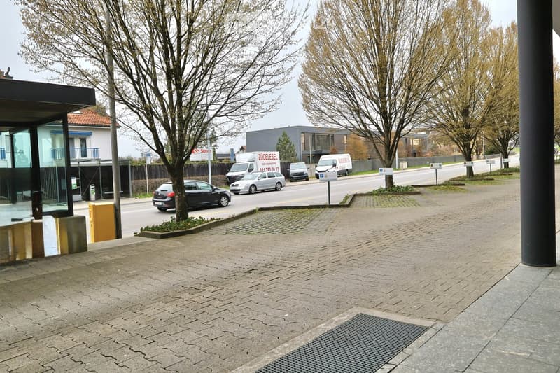 A paved outdoor area with trees and parked cars on the side of the road.