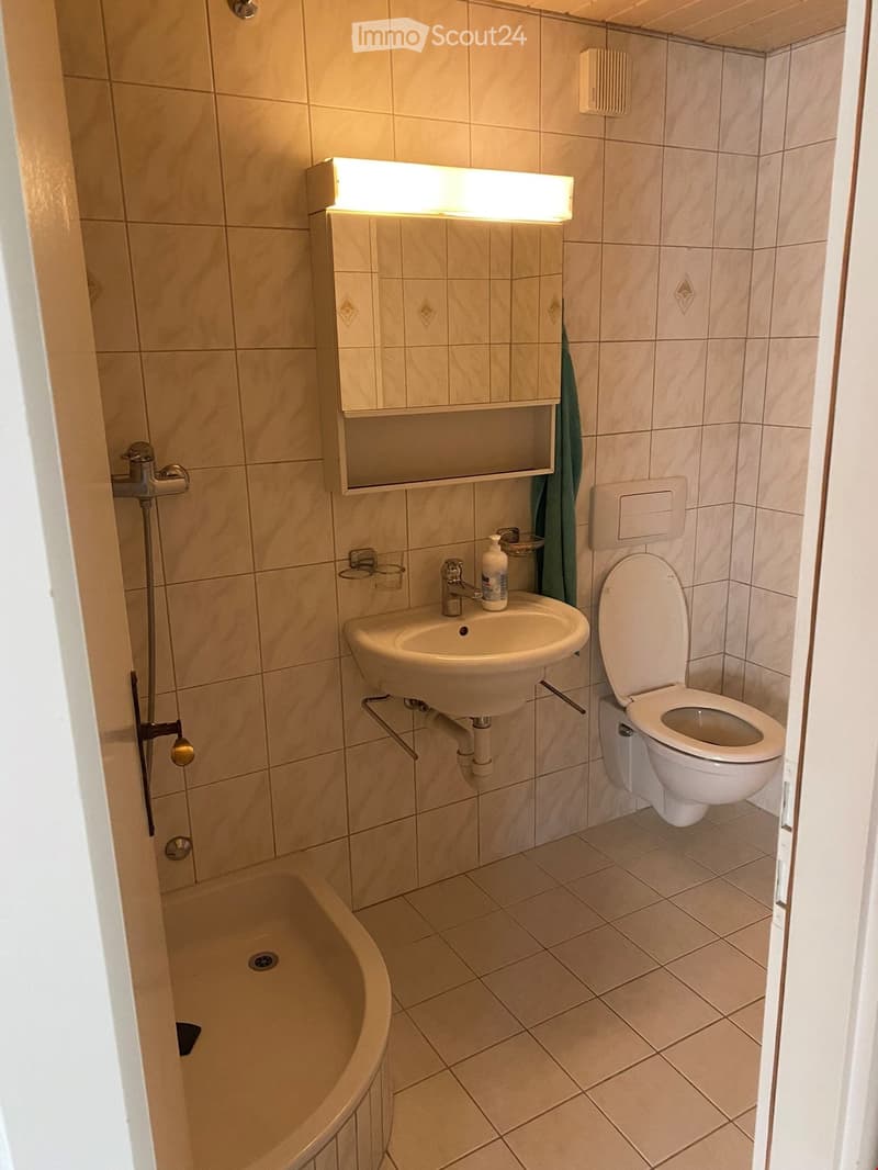 Bathroom with sink, shower, and toilet.