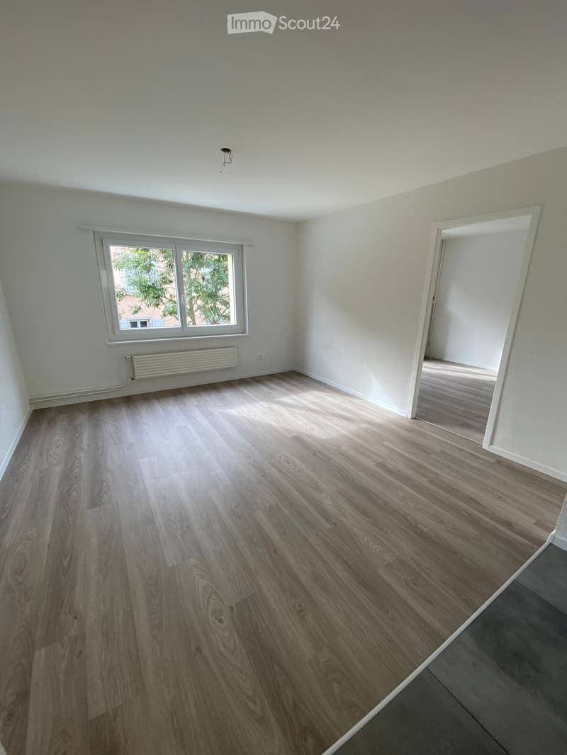 Empty room, hardwood floor, white walls, window, radiator