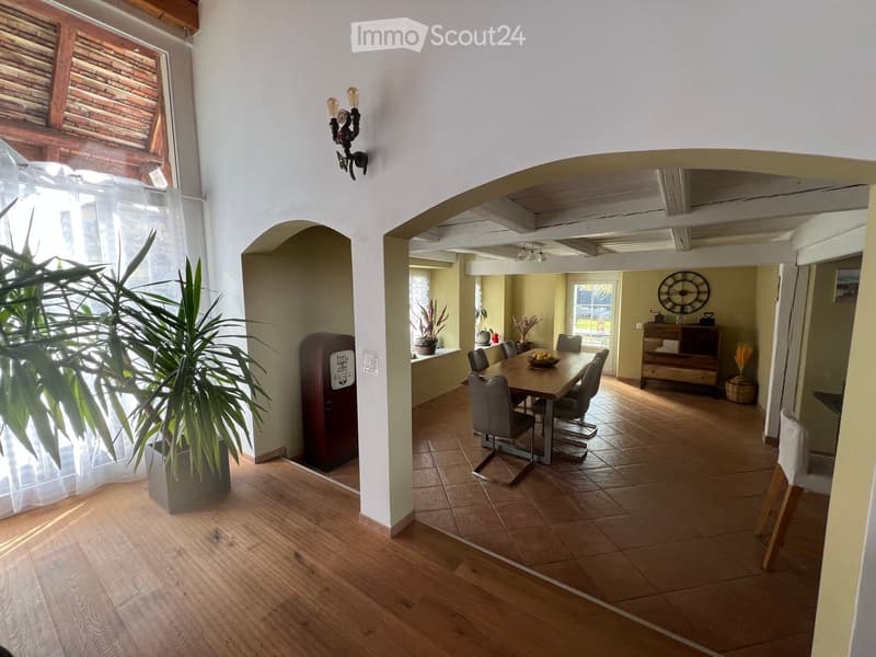 Bright hallway with wooden flooring, large potted plant, arched entryway leading to a dining area with a wooden table and chairs, visible kitchen area with cabinets and a clock on the wall.