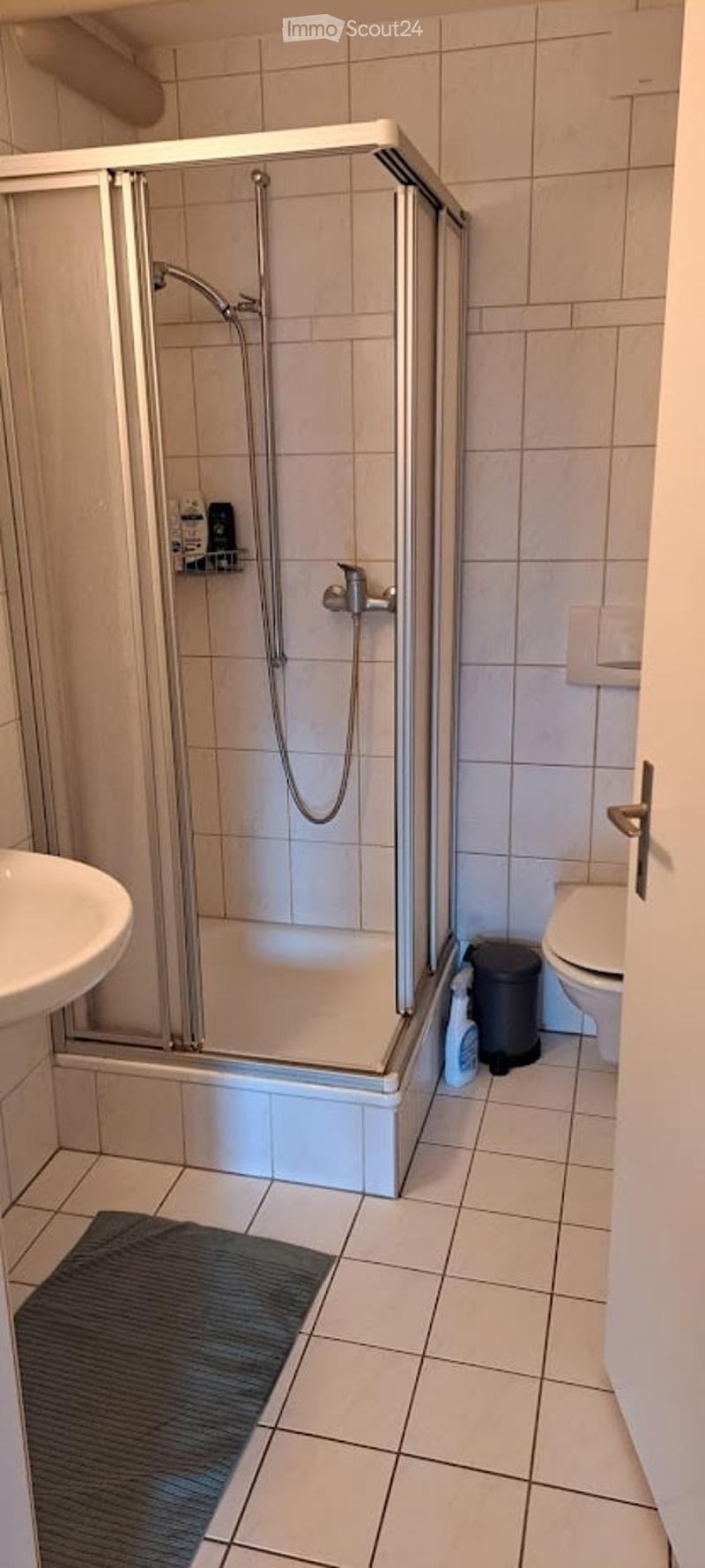 Bathroom with shower, sink, toilet, trash can, and a rug