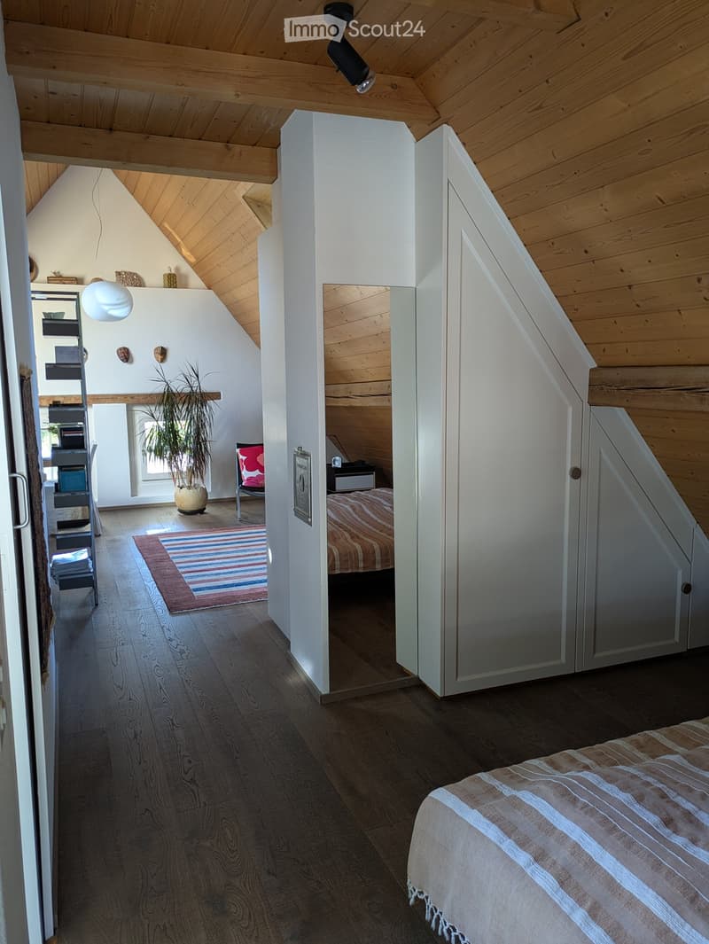 A room with wooden floors, a bed, a rug, a plant, a chair, a mirror, a cabinet, a bookshelf, and a lamp.
