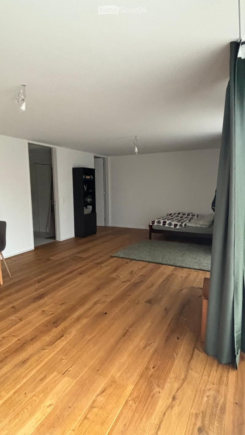 Studio in Dietikon (3)