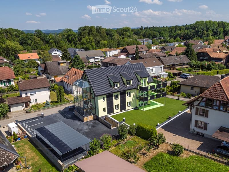 House. Aerial view of a modern house with a green lawn and solar panels on the roof.