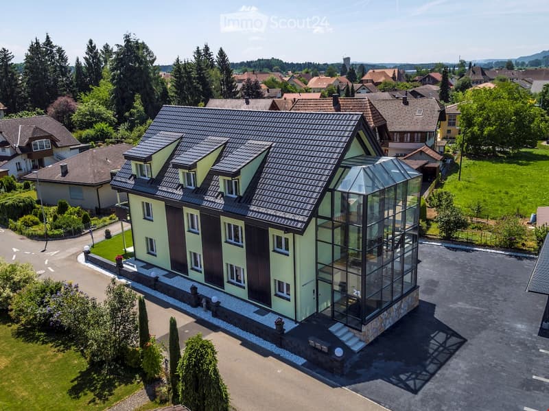 House. Modern house with a glass extension, black roof, and green walls. Surrounded by trees and other houses.