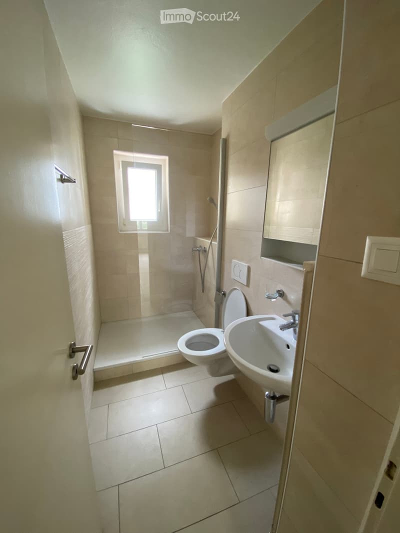 Bathroom with toilet, shower, sink, mirror, and window