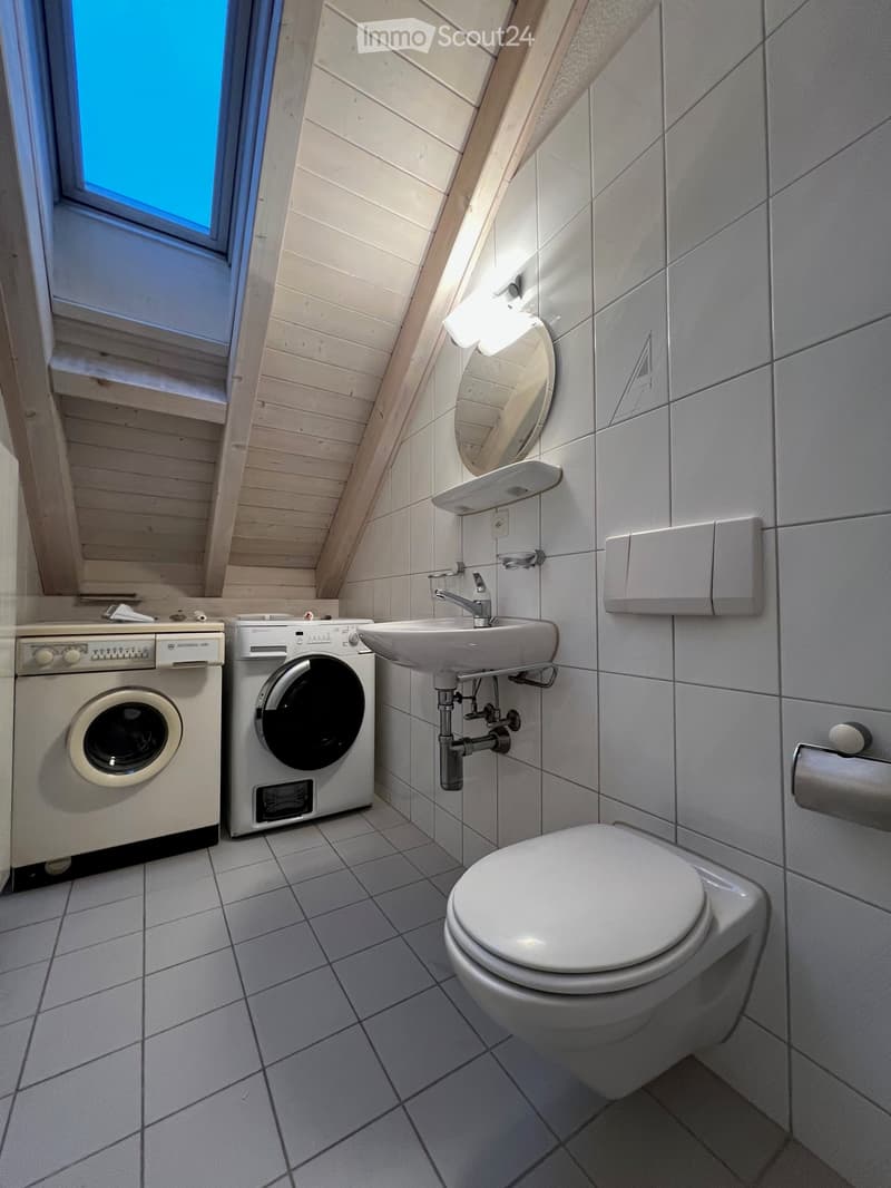 Small bathroom with washing machines, sink, toilet, mirror, and skylight