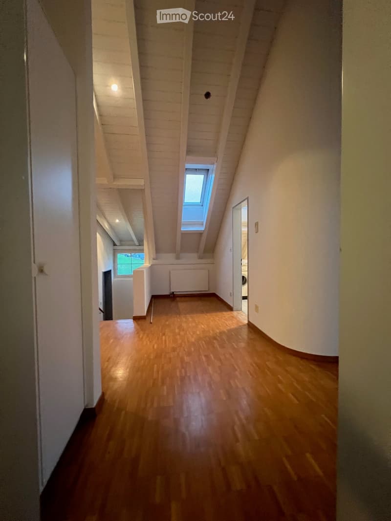 empty room, wooden floor, white walls, skylight, windows, radiator