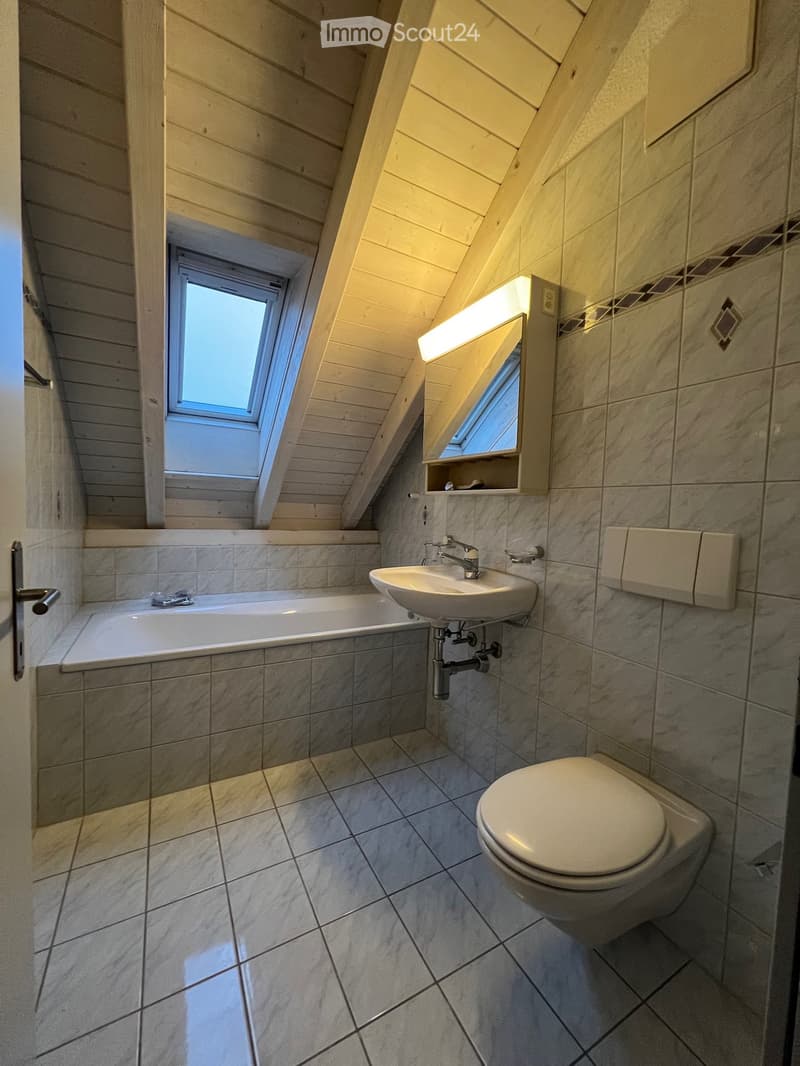 Bathroom with bathtub, sink, toilet, and two skylights