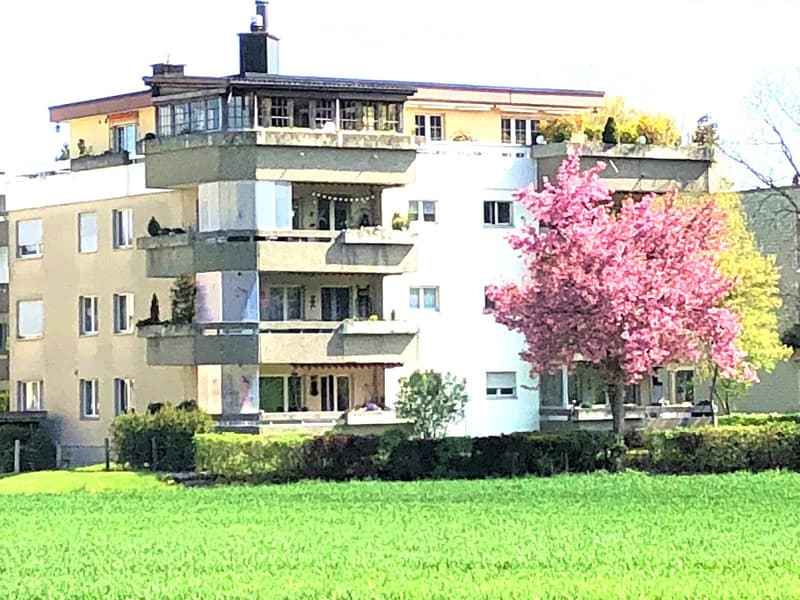 Multi-story residential building with balconies, surrounded by greenery and a flowering tree.
