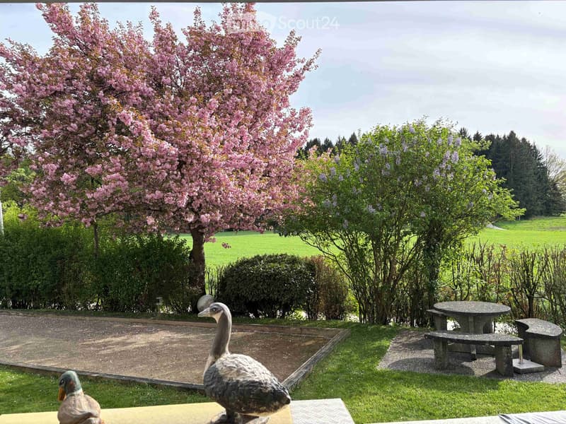 Outdoor area with a grassy lawn, a stone picnic table, and two duck statues. Behind the table, there is a bush and a cherry blossom tree. In the distance, there is a green field and hills under a cloudy sky.