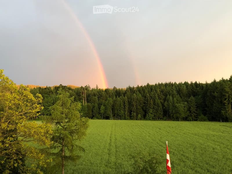 A wide green field with trees in the background and a rainbow in the sky.