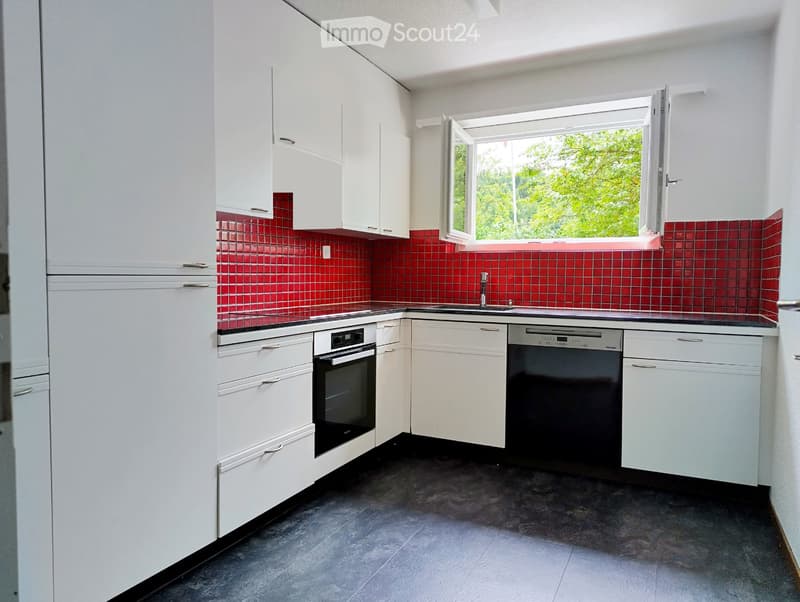 Modern kitchen with white cabinets, red tiled backsplash, black countertop, and stainless steel appliances including an oven and dishwasher.