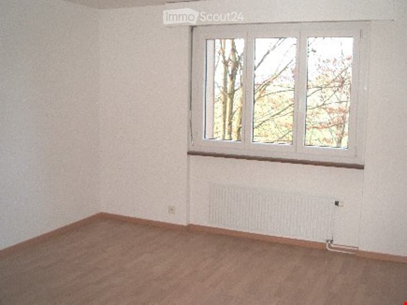 Modernisierte 41/2 Zimmer-Wohnung in total saniertem Mehrfamilienhaus (12)