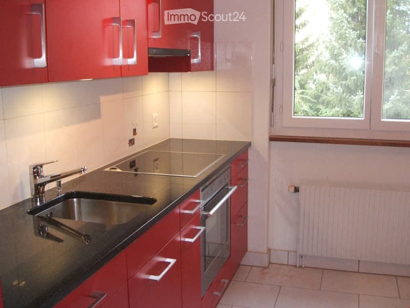 Modernisierte 41/2 Zimmer-Wohnung in total saniertem Mehrfamilienhaus (8)