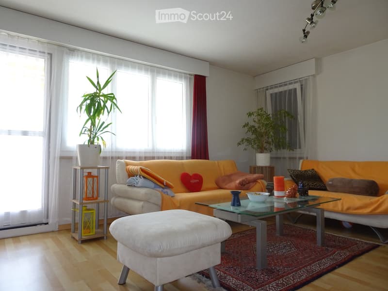Modernisierte 41/2 Zimmer-Wohnung in total saniertem Mehrfamilienhaus (9)