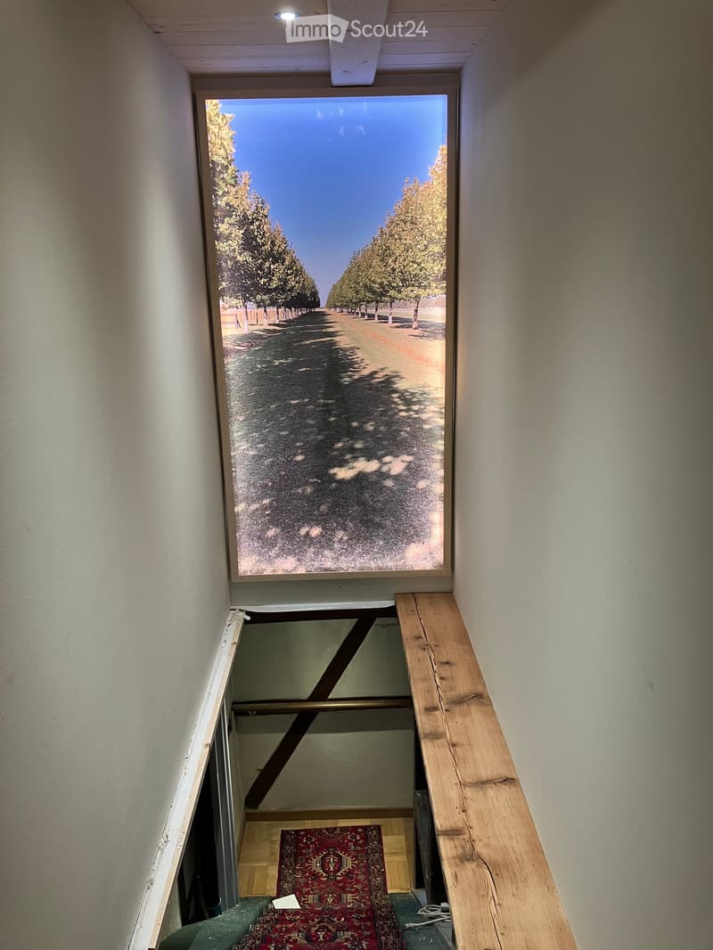 A narrow hallway with a wooden staircase leading downwards, featuring a large window at the top showing a tree-lined pathway outside.
