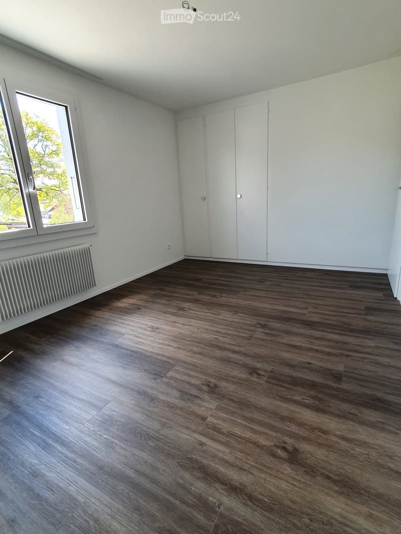 Empty room with white walls, wooden floor, and a window with a view of a tree.