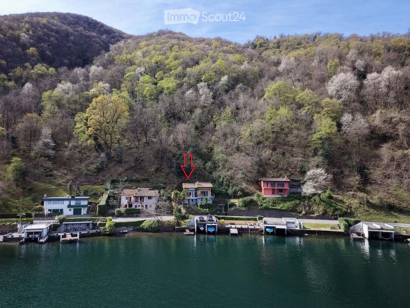 House on the lake shore, surrounded by trees, with a mountain in the background