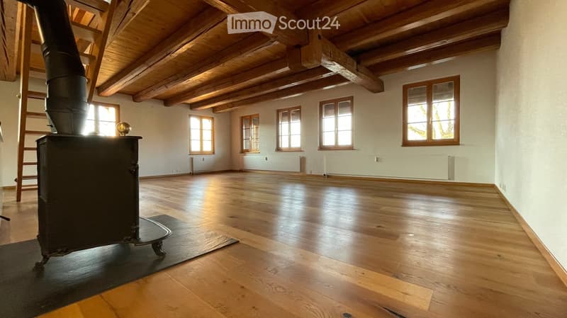 wooden floor, wooden ceiling beams, fireplace, windows, ladder