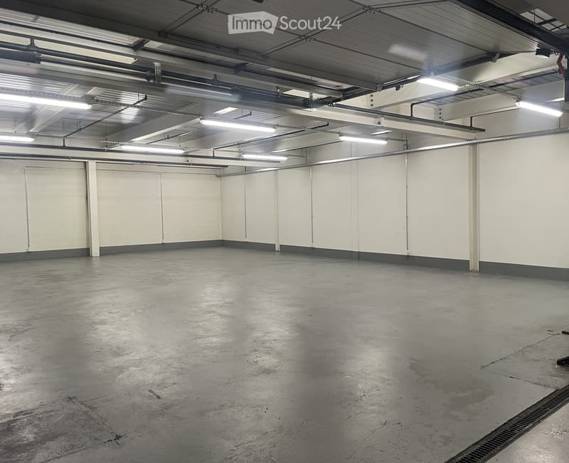 Unfurnished Room. Empty room with white walls, gray floor, and overhead lighting. No furniture or equipment present.
