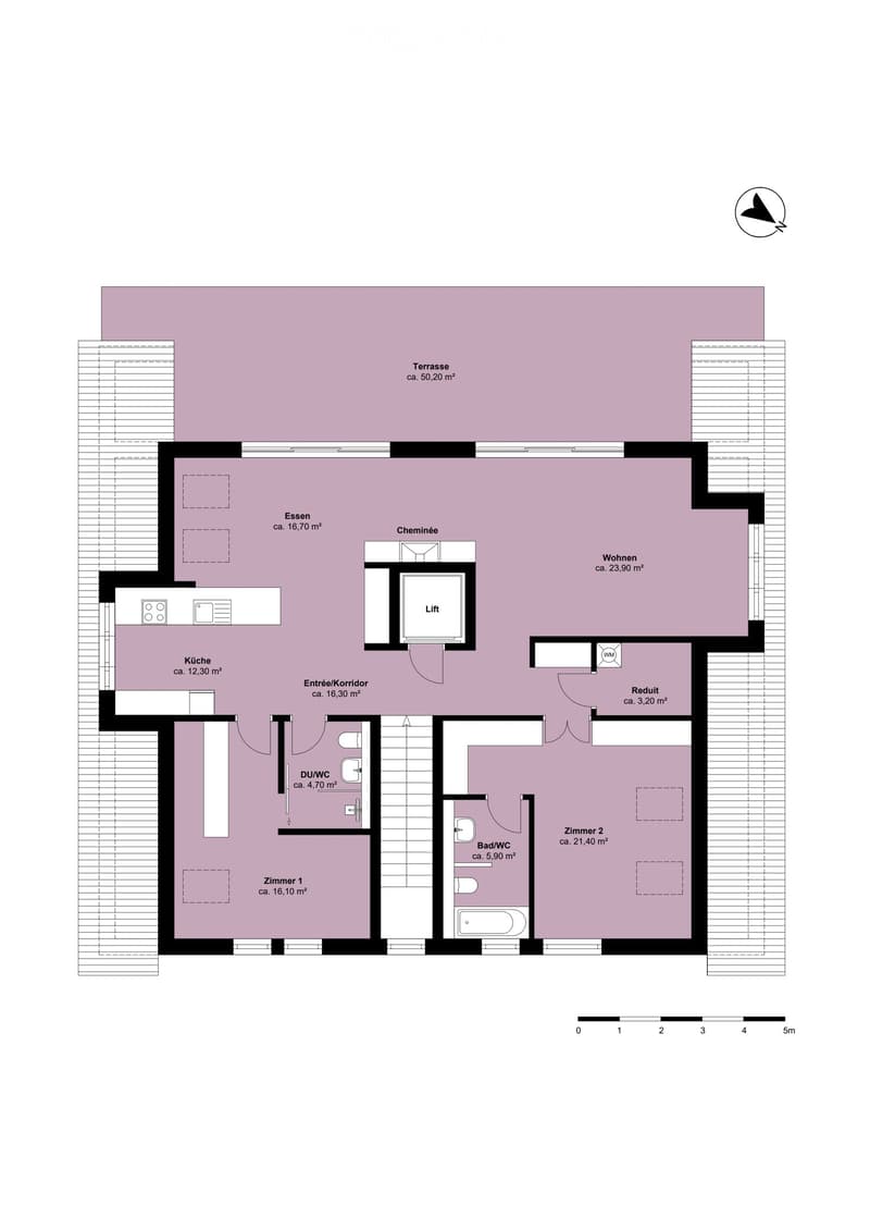 Floor plan of a residential unit featuring a living area, dining area, kitchen, two bedrooms, two bathrooms, a hallway, a terrace, and a fireplace.