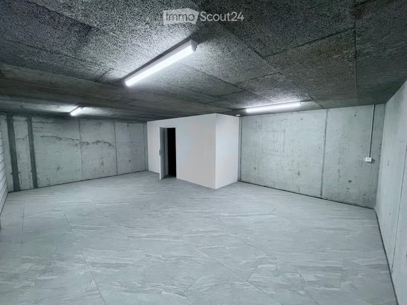 Pièce de loisirs avec WC au sous-sol dans un emplacement central à Füllinsdorf (1)
