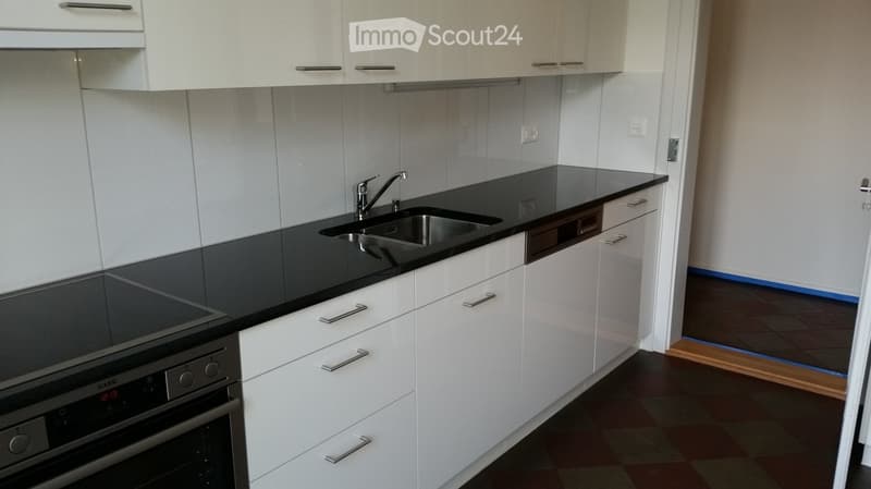 Modern kitchen with white cabinets, black countertops, stainless steel sink, and a dishwasher.