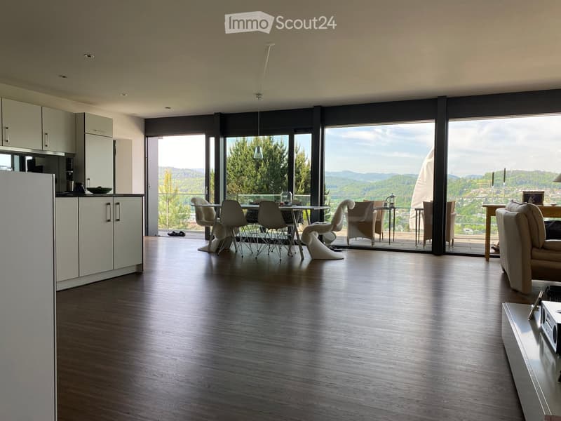 Luxury apartment with dream view on the sun slope of Liestal (14)