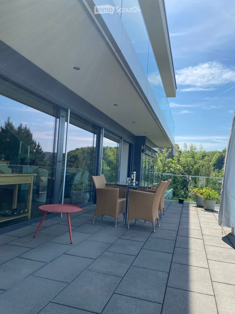 Luxury apartment with dream view on the sun slope of Liestal (3)