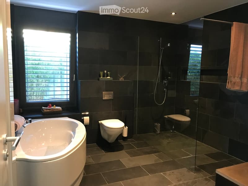 Luxury apartment with dream view on the sun slope of Liestal (11)