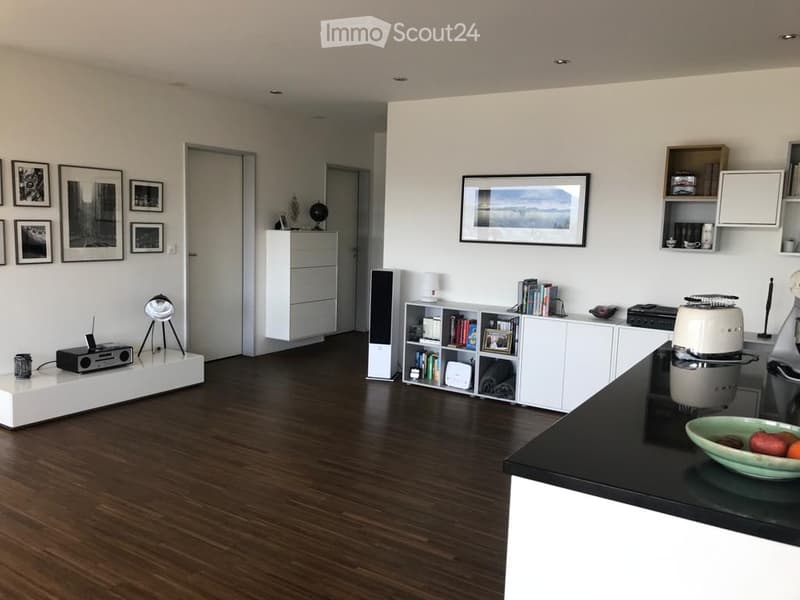 Luxury apartment with dream view on the sun slope of Liestal (6)