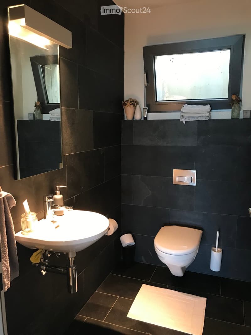 Luxury apartment with dream view on the sun slope of Liestal (12)