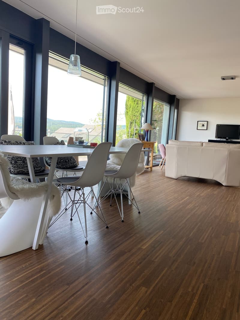Luxury apartment with dream view on the sun slope of Liestal (15)