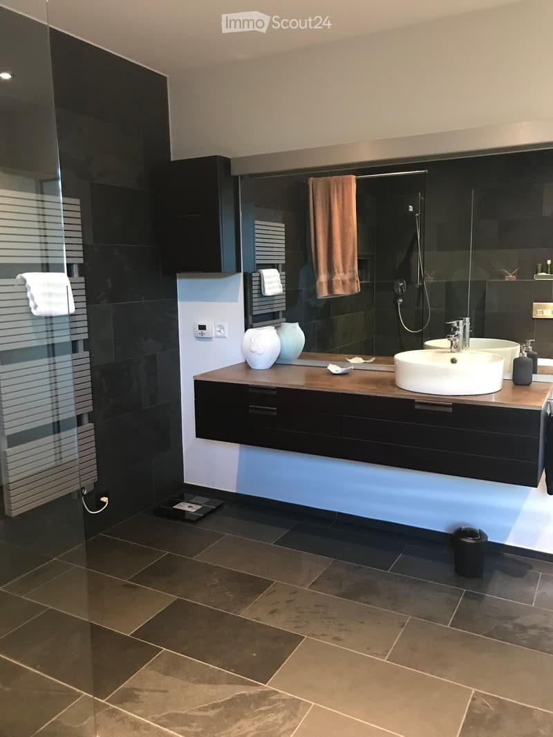 Luxury apartment with dream view on the sun slope of Liestal (10)