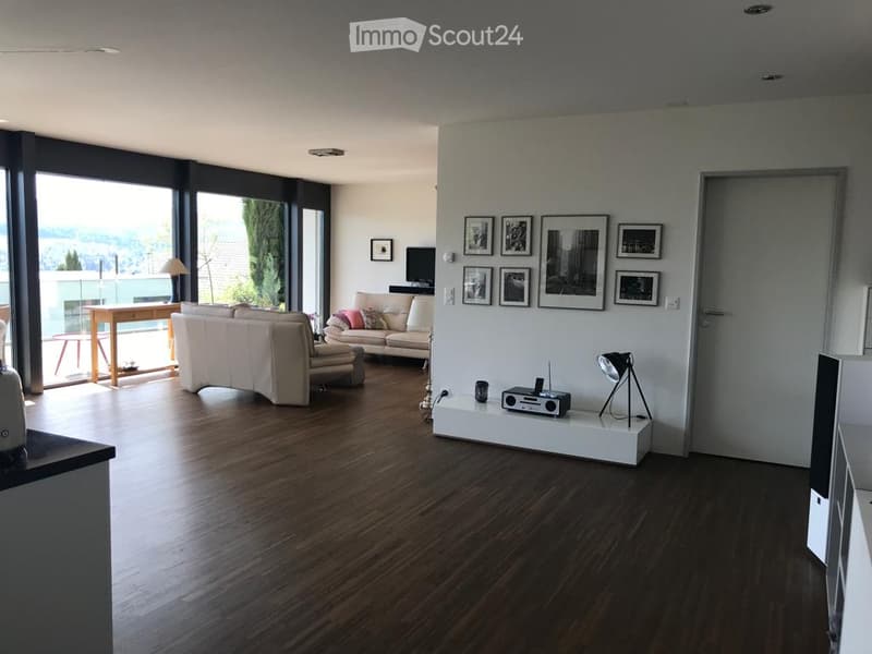 Luxury apartment with dream view on the sun slope of Liestal (7)