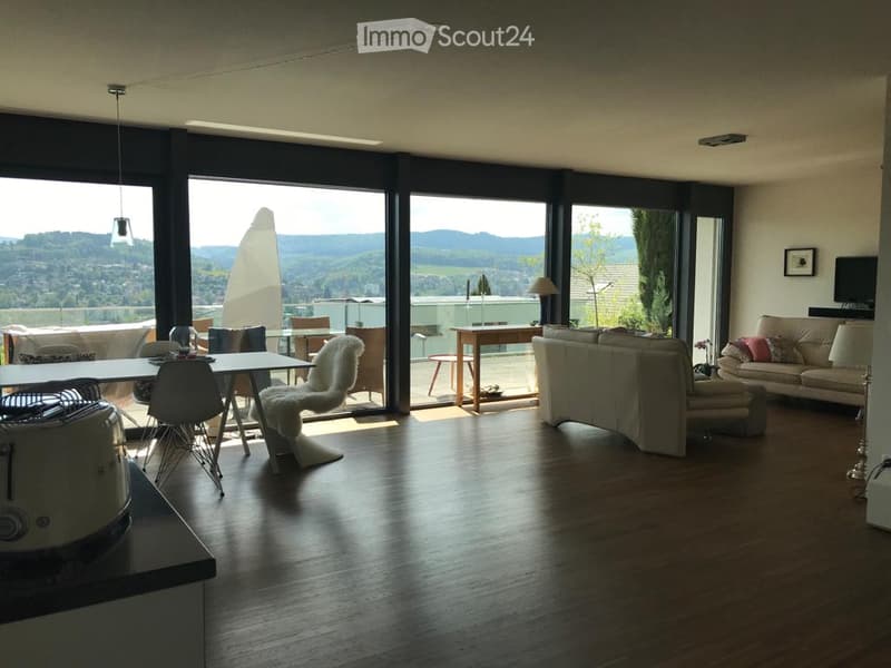 Luxury apartment with dream view on the sun slope of Liestal (8)