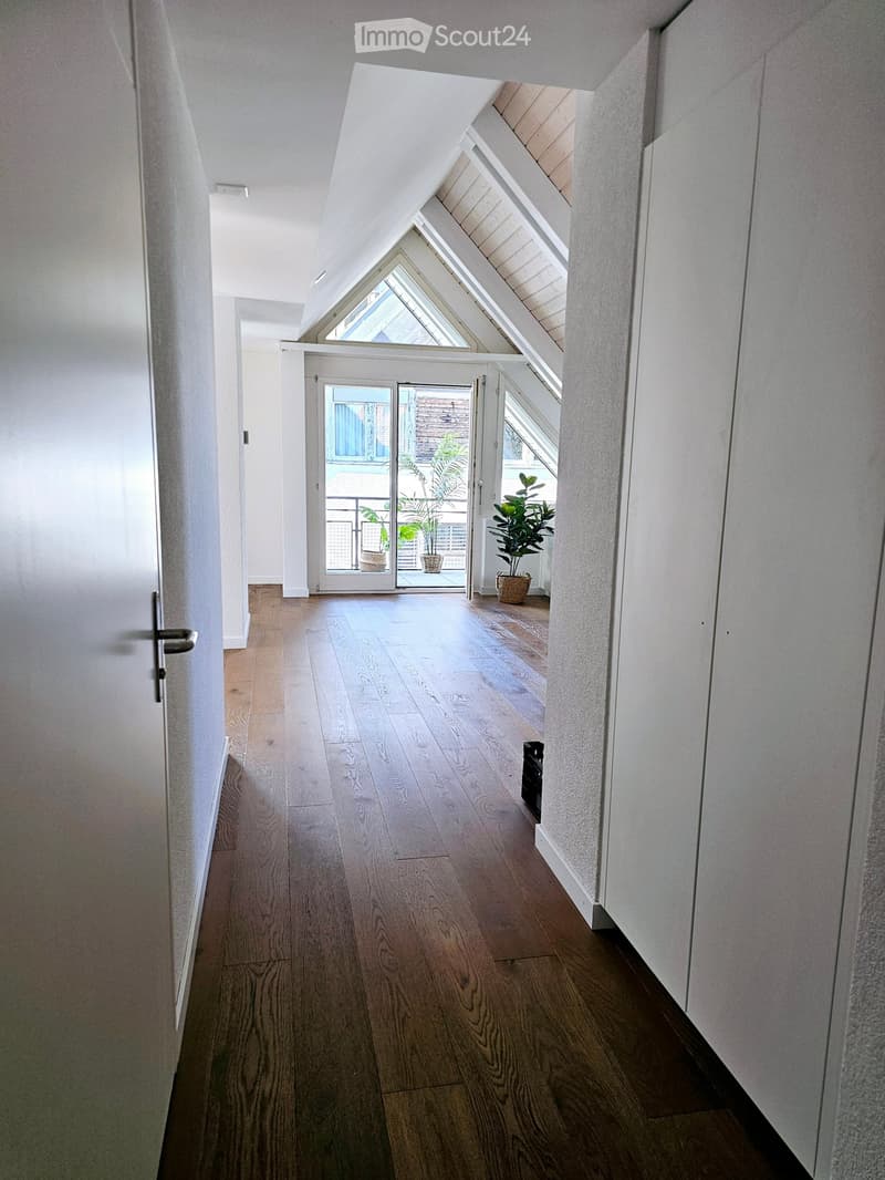 3 1/2 room attic apartment in Hombrechtikon (8)