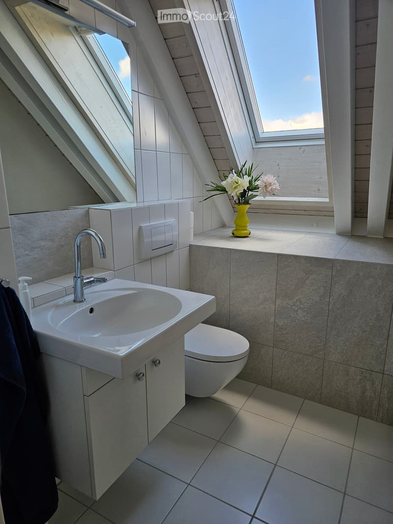 3 1/2 room attic apartment in Hombrechtikon (10)